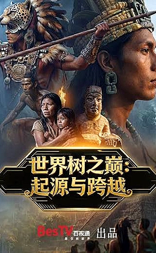 盛夏有风来